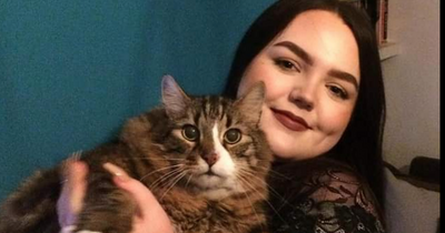 Scots fat cat who burgled homes to steal food sheds weight after rescue