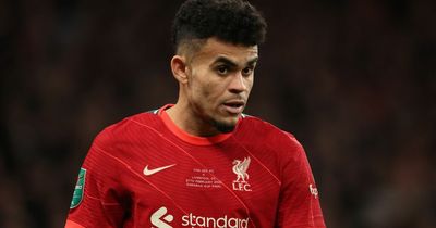 Garth Crooks, Gary Lineker and Alan Shearer all say same thing about Luis Diaz after Liverpool Carabao Cup win