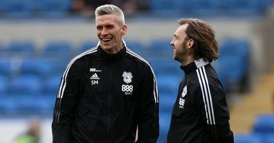 Steve Morison reveals his Cardiff City transfer plan as Vincent Tan aligns with future vision