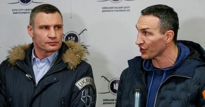 Former boxing champions Wladimir and Vitali Klitschko 'named on Russian hit list'