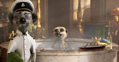 Compare the Market pulls 'simples' meerkat adverts from TV news bulletins after Ukraine invasion