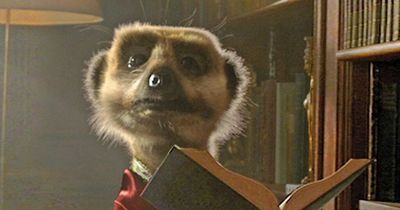 CompareTheMarket meerkat adverts pulled over Russian invasion of Ukraine