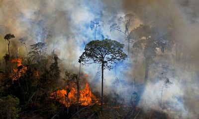 The Guardian view on the IPCC report: inaction has cost the world dearly