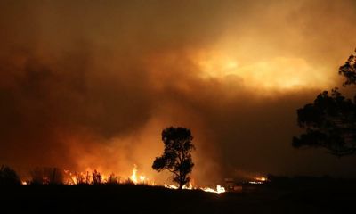 Smoke from Black Summer bushfires depleted ozone layer, study finds