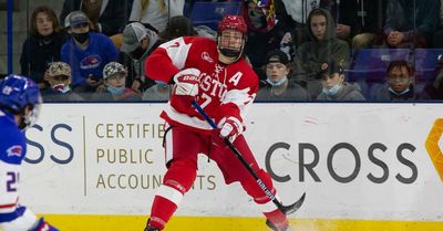 Blackhawks prospect Alex Vlasic has developed the physicality to match his size