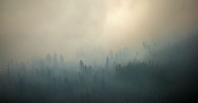 A price on carbon is another way to put pressure on Russia