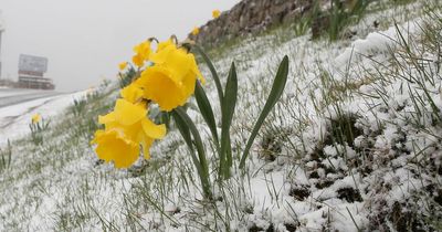 Met Eireann pinpoint when cold snap will end but Ireland set to freeze as temperatures plummet