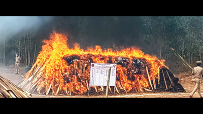 Cannabis use in Andhra Pradesh low, finds survey