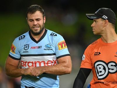 Graham technique fine on concussion return