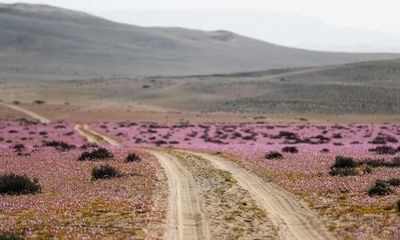 Weatherwatch: the many climate zones of Chile