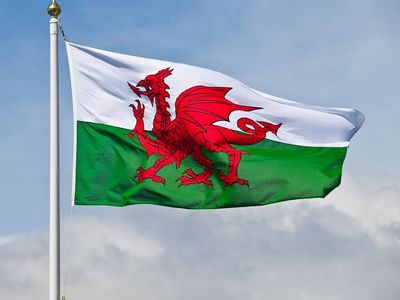 St David’s Day 2022: Five things you need to know about Wales’s national celebration