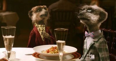 Meerkat Aleksandr Orlov pulled from some ad breaks after invasion of Ukraine