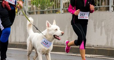 Parkrun changes rules on running with your dogs with harness ban