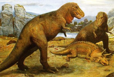 Tyrannosaurus Rex may have been three different species - not just the T.Rex