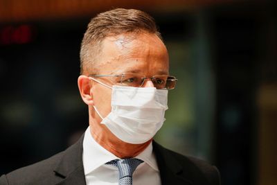 Hungary supports bid for Ukraine to become EU member -minister