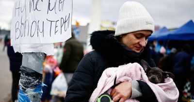 UK government urged to change law so Ukrainians aren't forced to abandon pets