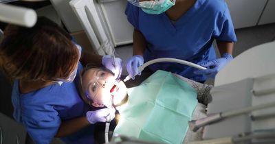NHS dentistry 'in crisis': Top dentist warns 'perfect storm' of Covid and Brexit adding to pressure