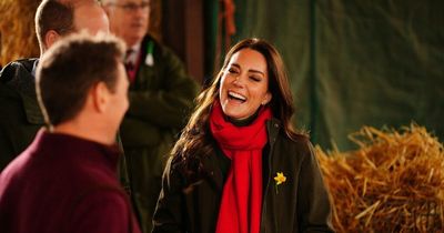 First glimpse of Kate and William as they visit Wales for St David's Day