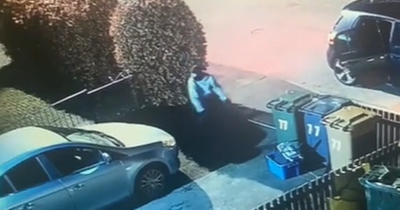 Edinburgh gang captured on video smashing random car windscreens on quiet street