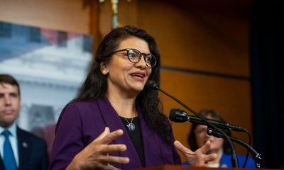 ‘Keying your own car’: Democrat hits out at Tlaib for State of the Union response