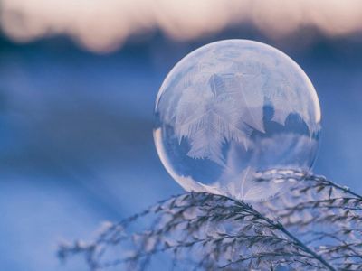 Why Bank Of America Says There Won't Be A 'Crypto Winter'