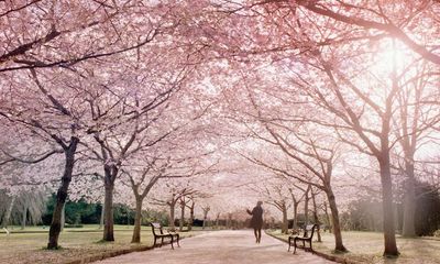 Share a tip on the best places to see spring blooms: you could win a £200 holiday voucher