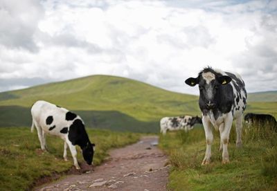 One of competing climate change bills passes penultimate NI Assembly hurdle