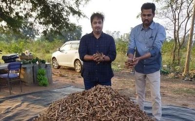 Two youngsters from Vizianagaram prove farming is a lucrative career option