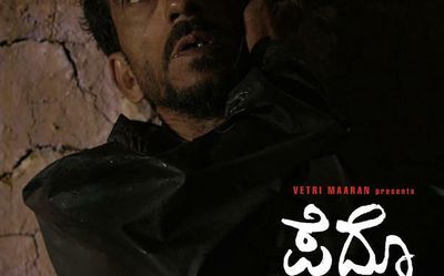 Critically acclaimed Kannada movies missing in line up, film buffs upset