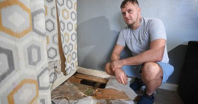Families outline horrors of being 'trapped' in homes plagued by damp and rats