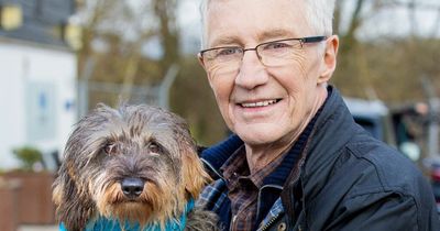 Paul O'Grady's life outside his showbiz bubble with dogs, pigs and alpacas