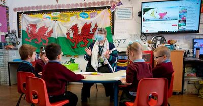 Schools expected to move to lowest level of Covid restrictions where possible, says Education Minister