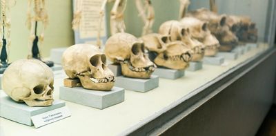 Future evolution: from looks to brains and personality, how will humans change in the next 10,000 years?