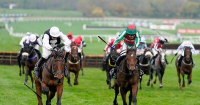 Best each-way Cheltenham bets include 12-1 shot after Festival handicap weights revealed