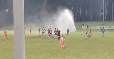 League of Ireland: Sprinkler malfunction brings UCD and Shelbourne match to hilarious stop