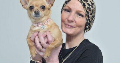'My chihuahua saved my life' - South Shields woman thanks dog for alerting her to ovarian cancer
