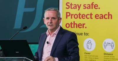 HSE boss warns of 'challenges' as €20 billion National Service Plan published