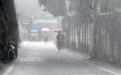 Low pressure area may set a record of bringing rare summer rain in early March