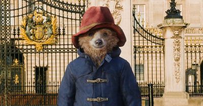 Fans shocked to discover Ukraine's president Zelensky voiced Paddington Bear in hit film