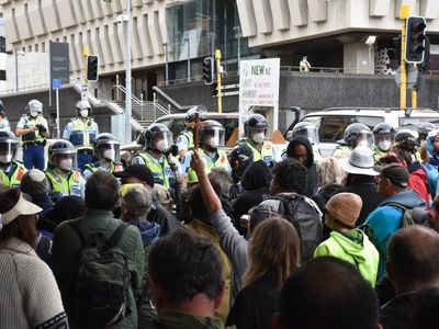 Police pepper spray NZ anti-vax protesters