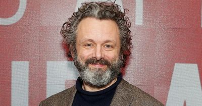 Michael Sheen announces partner Anna Lundberg is pregnant with their second child