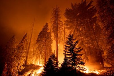 California weighs naming heatwaves to emphasise their deadly nature as third year of drought looks likely