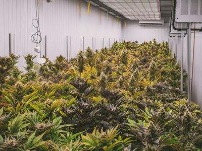 Hydrofarm Q4 Revenue Declines 11% Sequentially to $110.4M