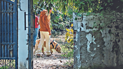 Explosives found in empty Gurugram house