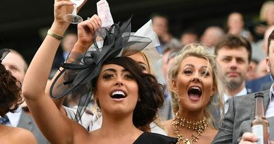 Cheltenham and Aintree: How you could get paid to go to the races