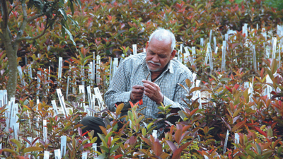 Indo-Israel centre helps Basti farmers turn to fruitful farming