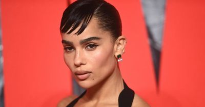 Zoe Kravitz gives nod to Catwoman in beautiful black gown for The Batman premiere