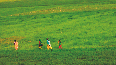 All-Brahmin battle in Hari Shankar Tiwari's backyard