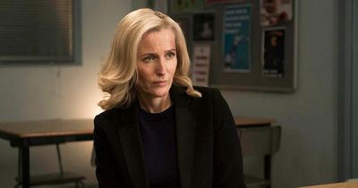 Gillian Anderson is desperate to play cold-hearted killer after hunting one in The Fall