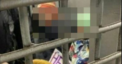 Primary school kids 'behind bars for waving anti-war banners at protest in Russia', politician claims